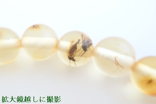 画像9: 虫入り琥珀ブレスレット (9)