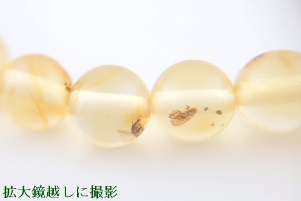 画像7: 虫入り琥珀ブレスレット (7)
