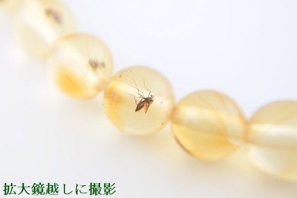 画像6: 虫入り琥珀ブレスレット (6)