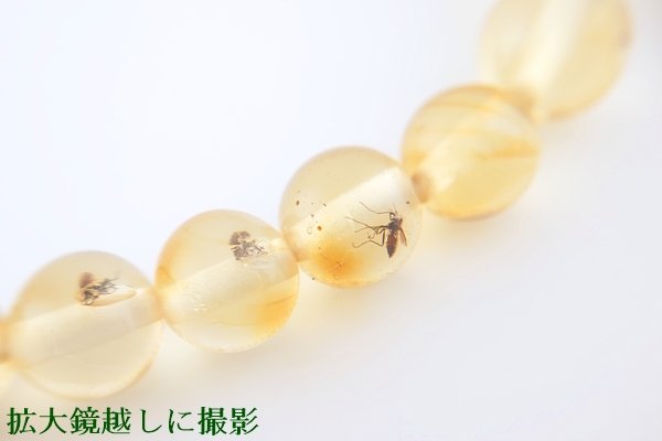 画像10: 虫入り琥珀ブレスレット (10)