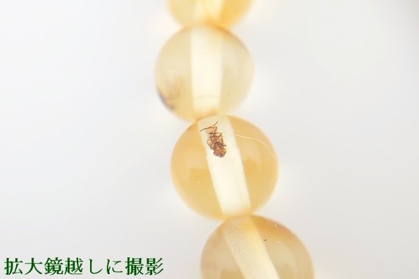 画像5: 虫入り琥珀ブレスレット (5)