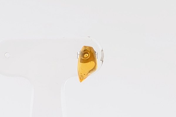 画像2: 【片耳】久慈産琥珀ピアス (2)