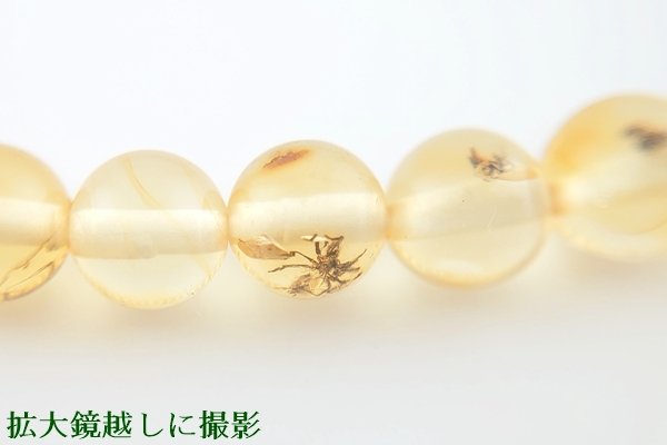 画像8: 虫入り琥珀ブレスレット (8)