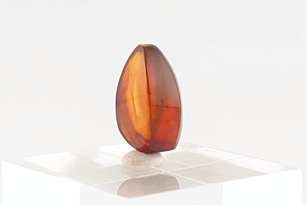 画像6: 久慈産琥珀原石 (6)