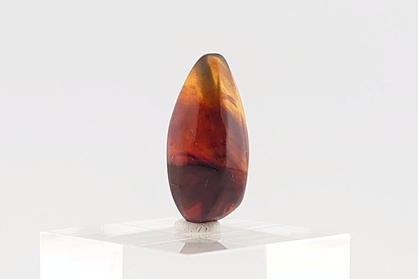 画像8: 久慈産琥珀原石 (8)