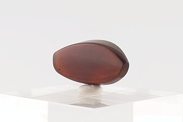 画像6: 久慈産琥珀原石 (6)