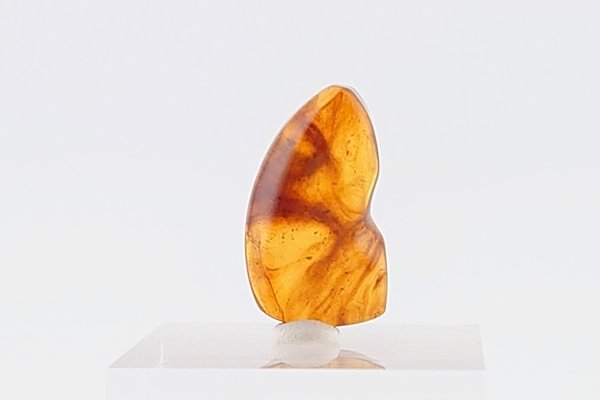 画像5: 久慈産琥珀原石 (5)