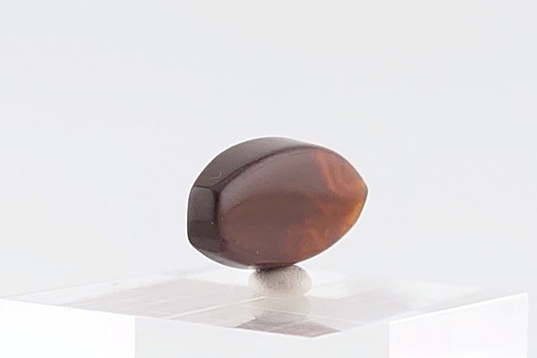 画像4: 久慈産琥珀原石 (4)