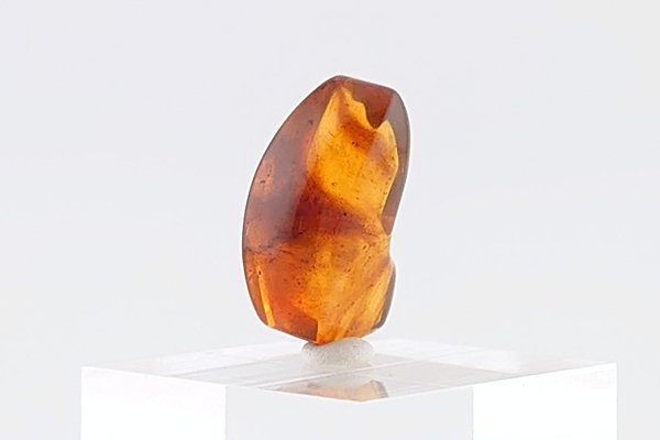 画像4: 久慈産琥珀原石 (4)