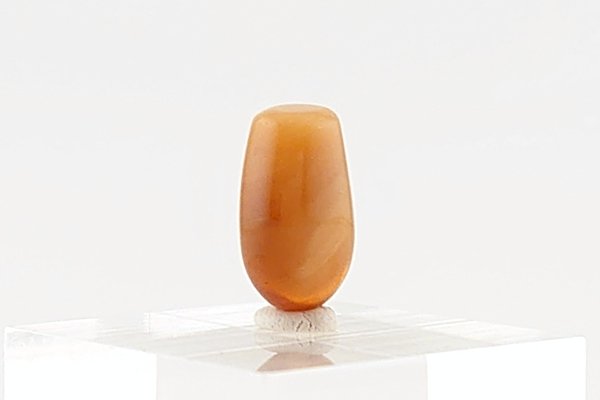 画像8: 久慈産琥珀原石 (8)