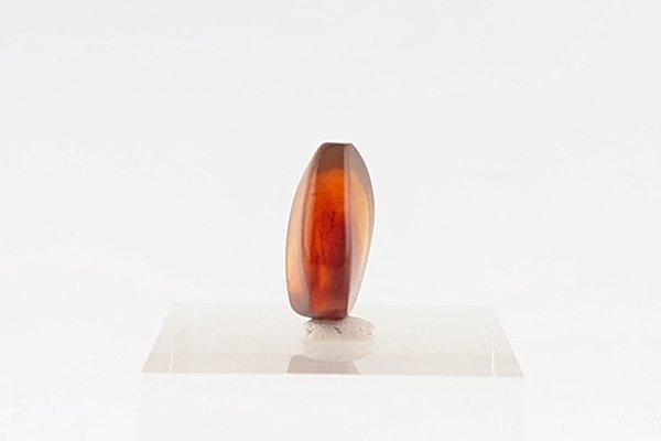 画像3: 久慈産琥珀原石 (3)