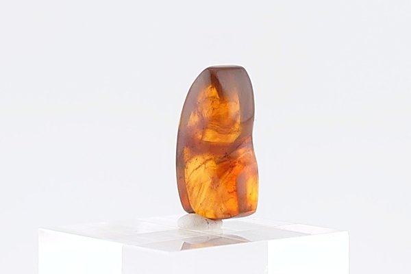 画像6: 久慈産琥珀原石 (6)