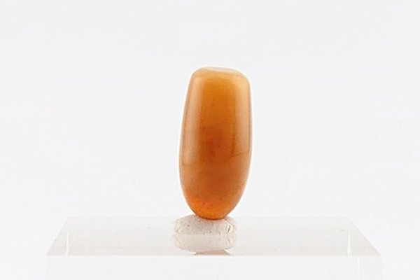 画像7: 久慈産琥珀原石 (7)