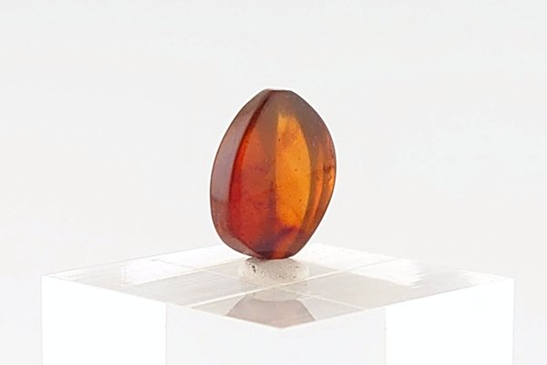 画像4: 久慈産琥珀原石 (4)