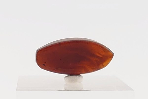 画像5: 久慈産琥珀原石 (5)