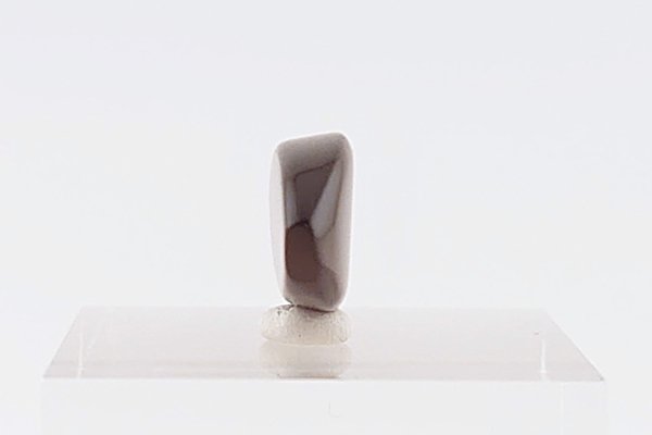 画像7: 久慈産琥珀原石 (7)