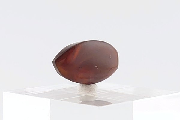 画像8: 久慈産琥珀原石 (8)