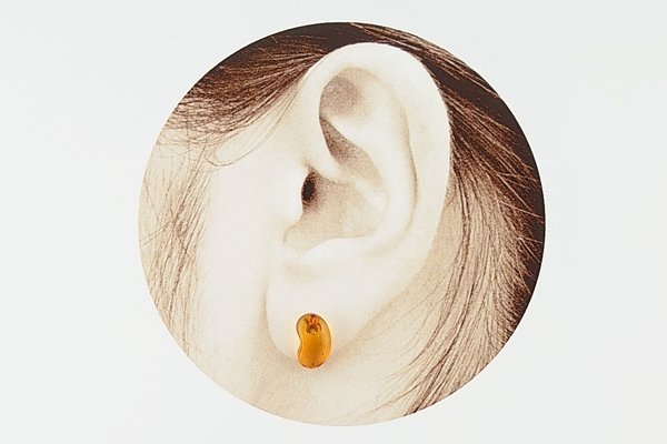 画像5: 琥珀ピアス (5)