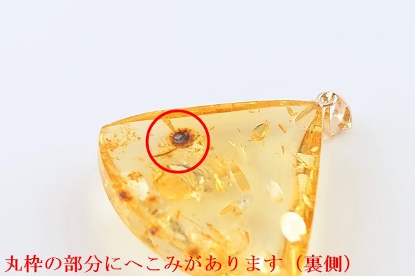 画像6: 琥珀ペンダント (6)