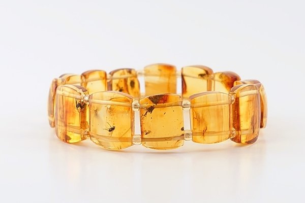 画像7: 虫入り琥珀ブレスレット (7)