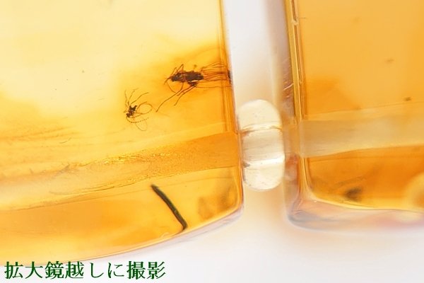 画像14: 虫入り琥珀ブレスレット (14)