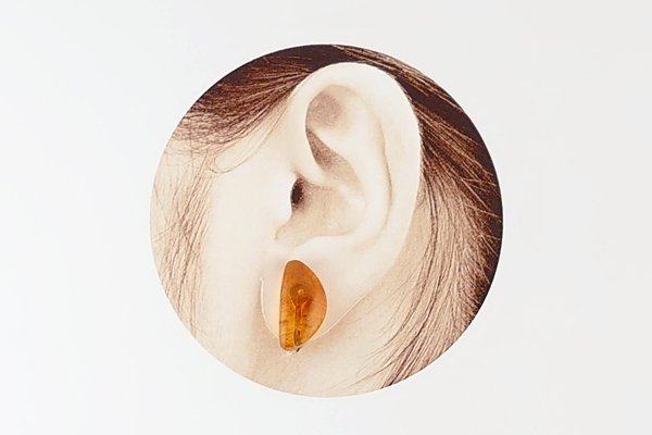 画像6: 久慈産琥珀イヤリング (6)