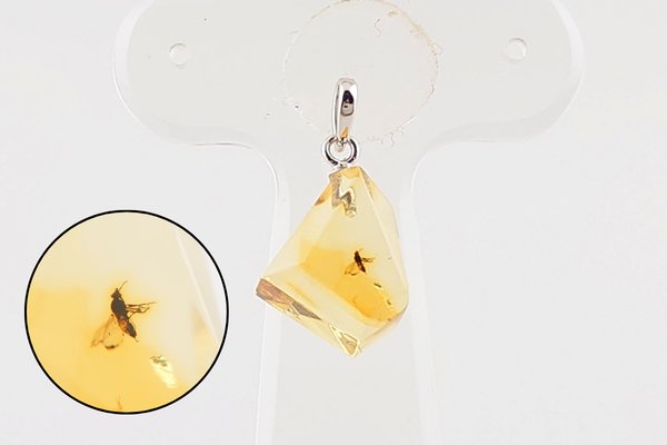 画像1: 虫入り琥珀ペンダント (1)