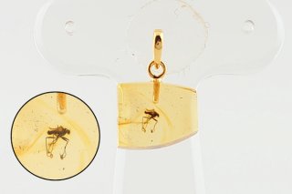 久慈琥珀オンラインショップ虫入り琥珀