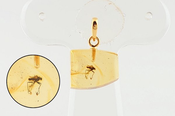 画像1: 虫入り琥珀ペンダント (1)