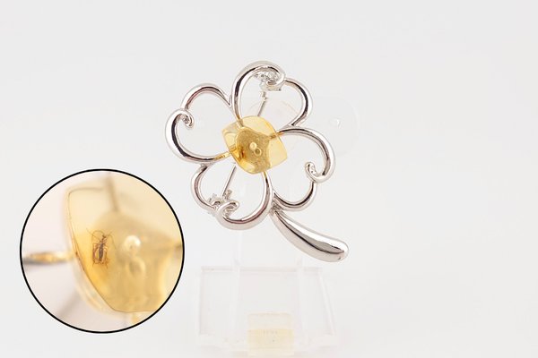 画像1: 虫入琥珀ブローチ (1)