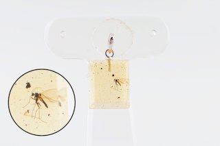 久慈琥珀オンラインショップ虫入り琥珀