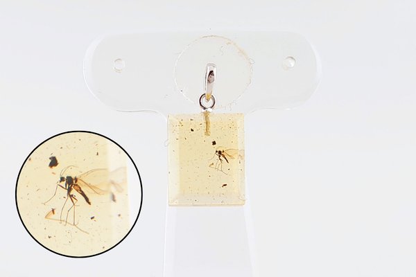 画像1: 虫入り琥珀ペンダント (1)