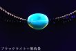 画像1: ブルーアンバーネックレス (1)