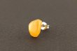 画像1: ［片耳用］久慈産琥珀ピアス (1)