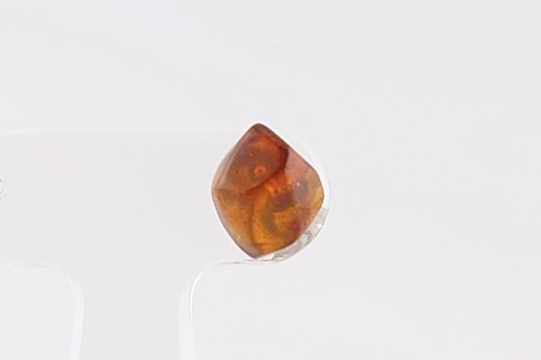 画像2: ［片耳用］久慈産琥珀ピアス (2)