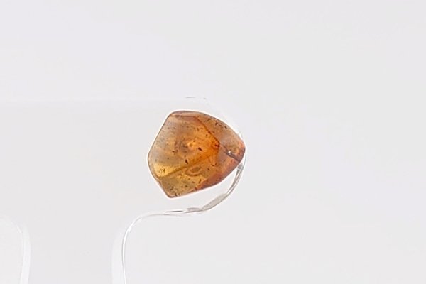 画像2: ［片耳用］久慈産琥珀ピアス (2)