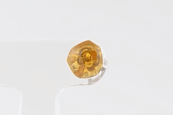 画像2: ［片耳用］久慈産琥珀ピアス (2)