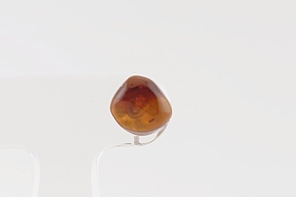 画像2: ［片耳用］久慈産琥珀ピアス (2)