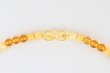 画像4: 琥珀ネックレス (4)