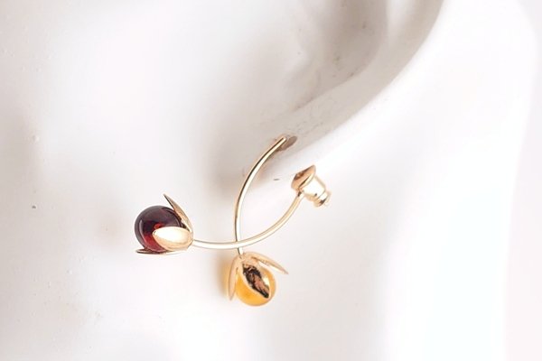 画像6: 琥珀ピアス (6)