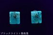 画像1: ブルーアンバーピアス (1)