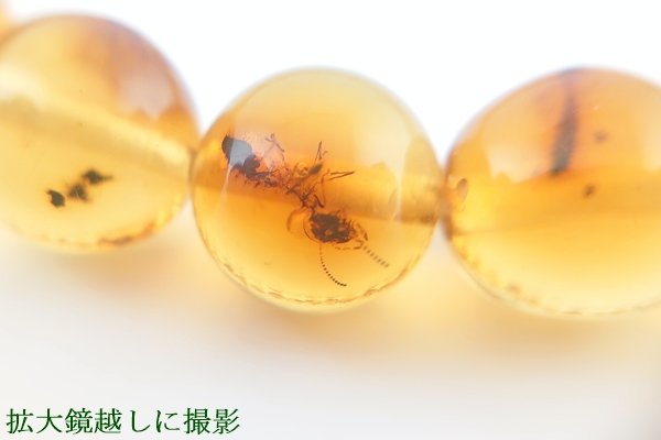 画像7: 虫入り琥珀ブレスレット (7)