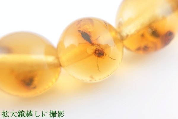 画像9: 虫入り琥珀ブレスレット (9)