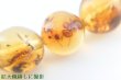 画像10: 虫入り琥珀ブレスレット (10)