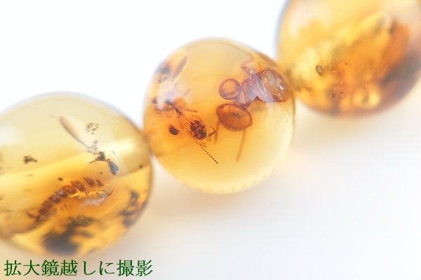 画像10: 虫入り琥珀ブレスレット (10)