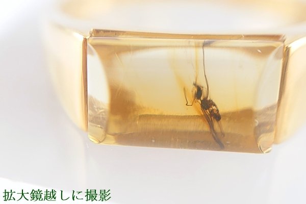 画像2: 虫入り琥珀リング（11号） (2)
